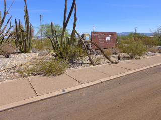 Looking NE toward Cabeza Prieta sign