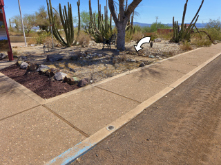 Looking NE toward Cabeza Prieta sign