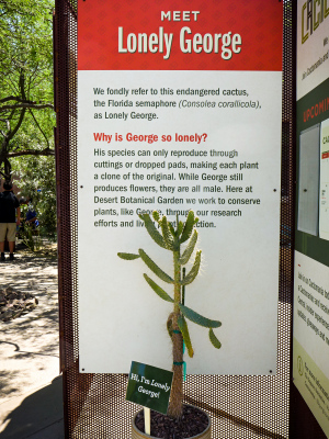 Poor Lonely George … I would take home a pad to propagate, if I could!