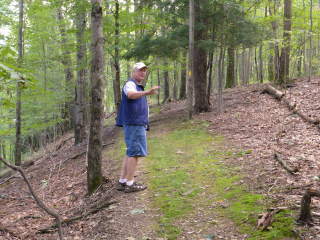 Along the Forest Loop Trail