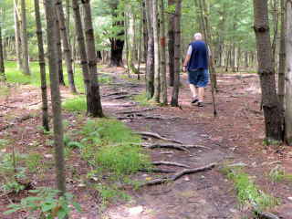 On the wet Vernal Pool Trail