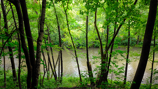 A glimpse of the Lackawanna River from near the geocache site.