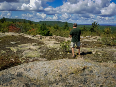 Rich surveys the scene!