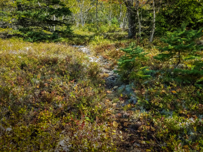We followed this trail last year, north to Duck Brook Road.