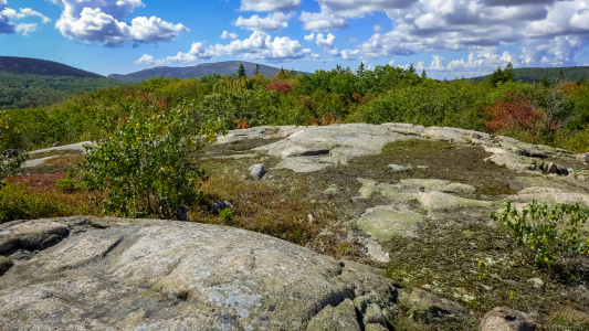 A colorful view from the first summit