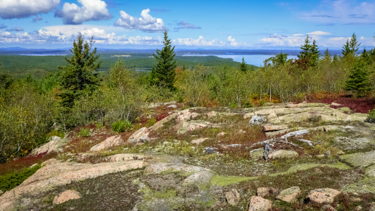 Fall color is coming quickly.