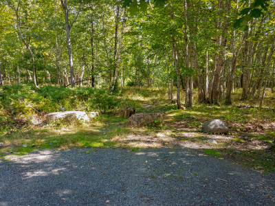 An abandoned road leads into the woods from a pulloff on Schooner Head Road.