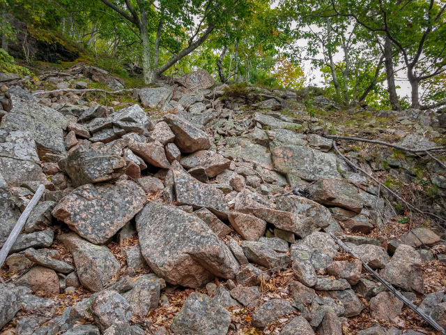 This 'rocky gully' looked promising but it wasn't the right spot.