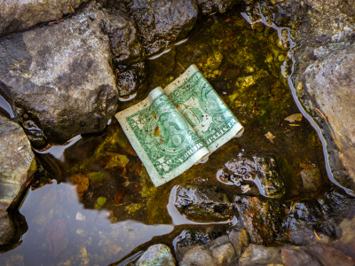 Where's George? In a tide pool!