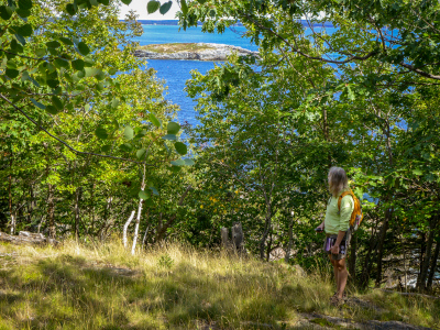 The Thrumcap is visible through the trees.