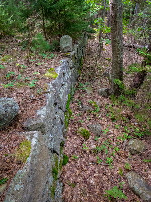 Granite retaining wall along the old driveway