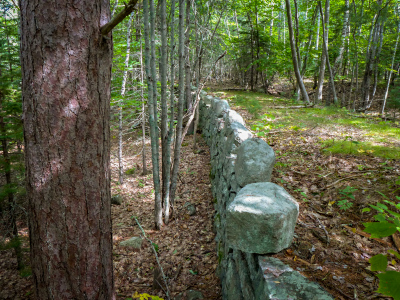 Impressive construction along the old driveway!