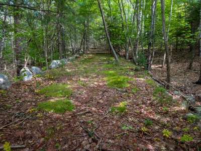 The path of the old driveway is still clearly evident.