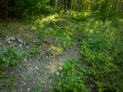 Beginning of the Green & White Path on Otter Cliffs Road