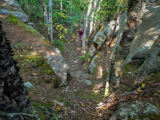 These trails lead to Enoch Mountain.