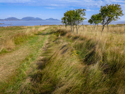 View of Mount Desert Island from Baker Island