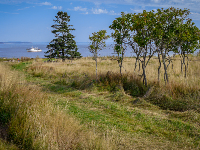 Windswept Baker Island