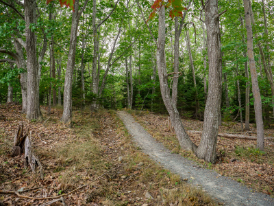 Kebo Brook Trail