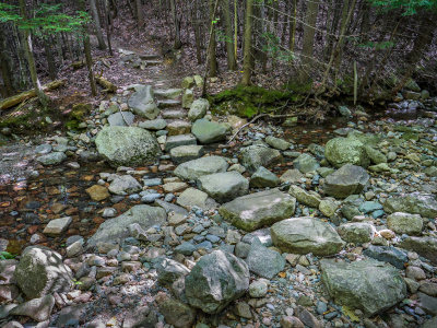 Crossing Kebo Brook on stepping stones