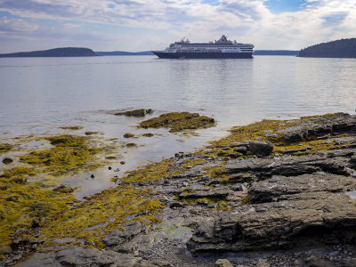 Scene along the Shore Path