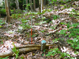 Eyelevel view of the disk in the granite post; NPS boundary post nearby