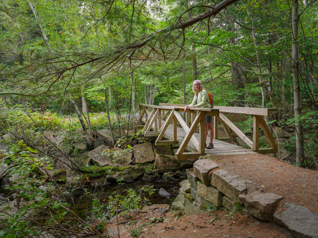 Wooden bridge on the Great Meadow Loop