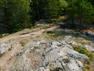 Looking E toward the Great Head Trail