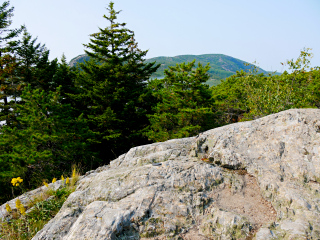 Looking W toward Gorham Mountain