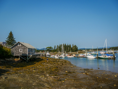 The shore near the tidal benchmarks