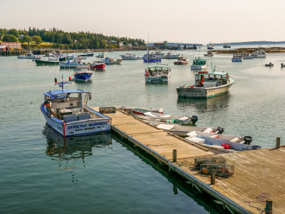 Harbor scene