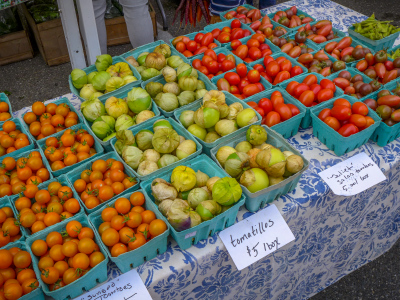 All kinds of tomatoes