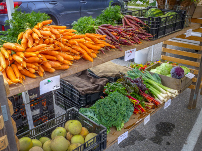 A rainbow of veggies