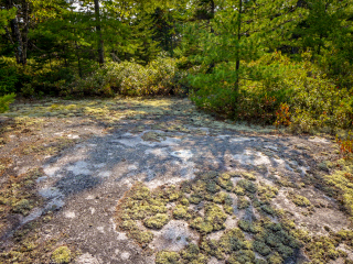 The ledge is quite deep in the woods.