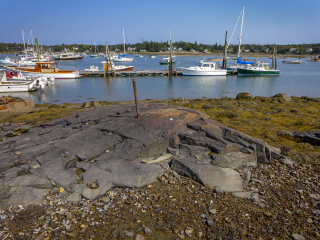 Looking E into the harbor