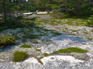 Looking SW toward the Wonderland Trail