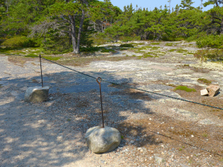 Looking N toward the ledge from the trail