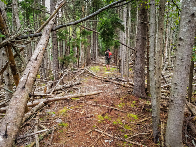 The grade of the old road is still evident.