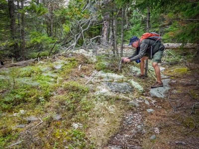 Rich pauses to check out the moss