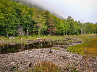 Wetlands south of the Tarn