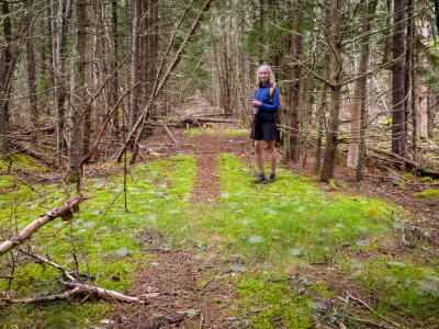 Entering the old road