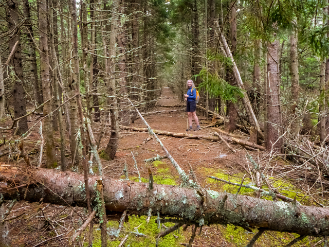 Looking down the grade of the old road