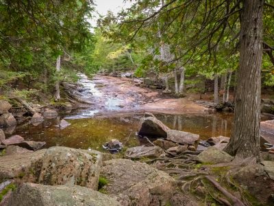 Swimmin' hole