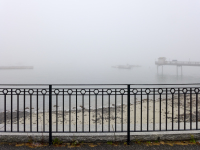 Fog in the harbor