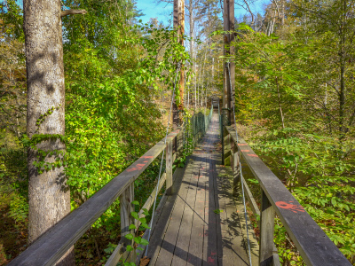 Nokomis Suspension Bridge at Keystone College