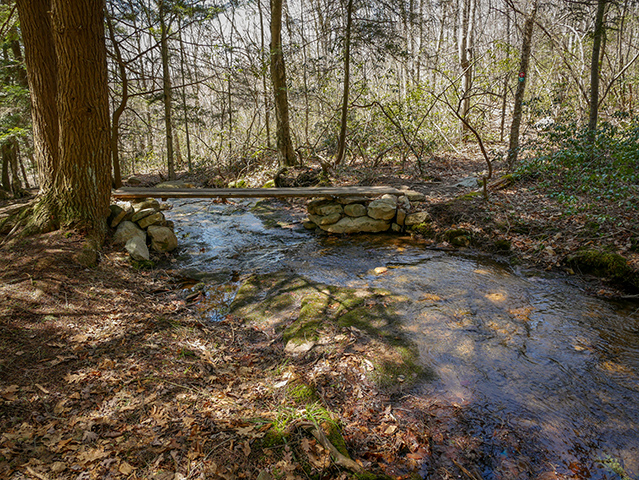 A rustic bridge over a Shades Creek tributary