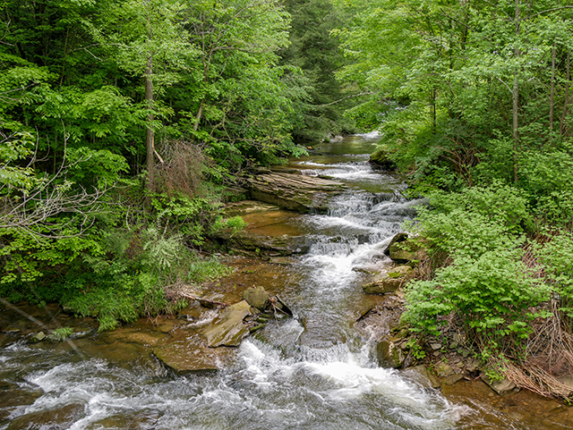 Impressive series of cascades along Tinker Creek