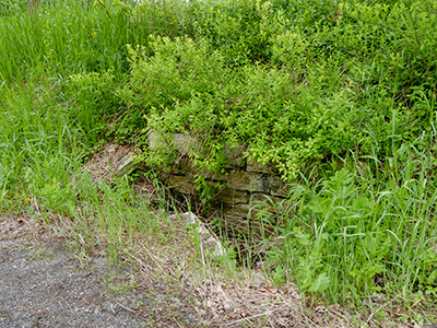 The stone catch basin along Route 1007