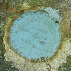 USGS Bench Mark Disk 41 M