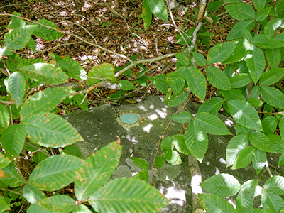 Eyelevel view of the disk on the boulder