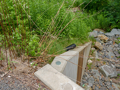 Eyelevel view of the disk on the bridge wingwall